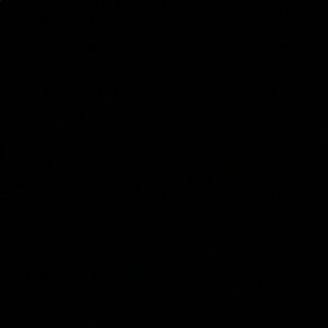 Meet your Posher, Annarose